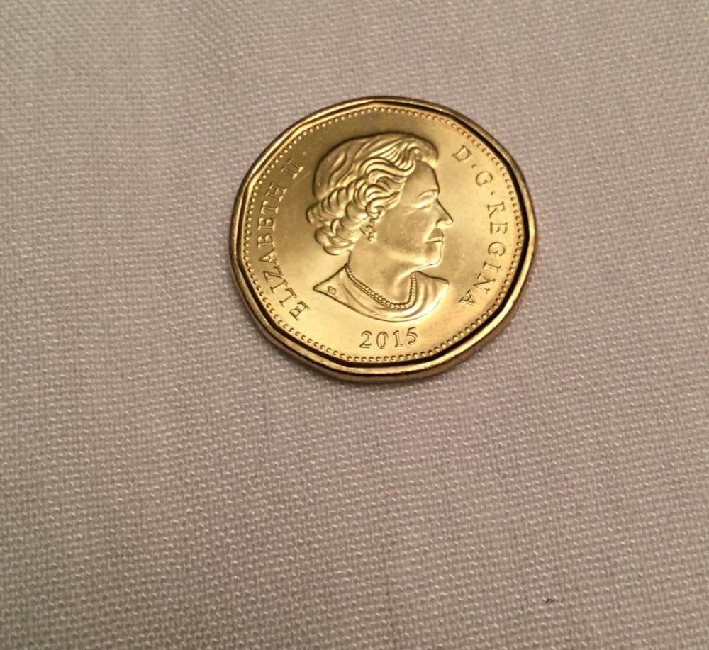 Loonie-2015-Errors